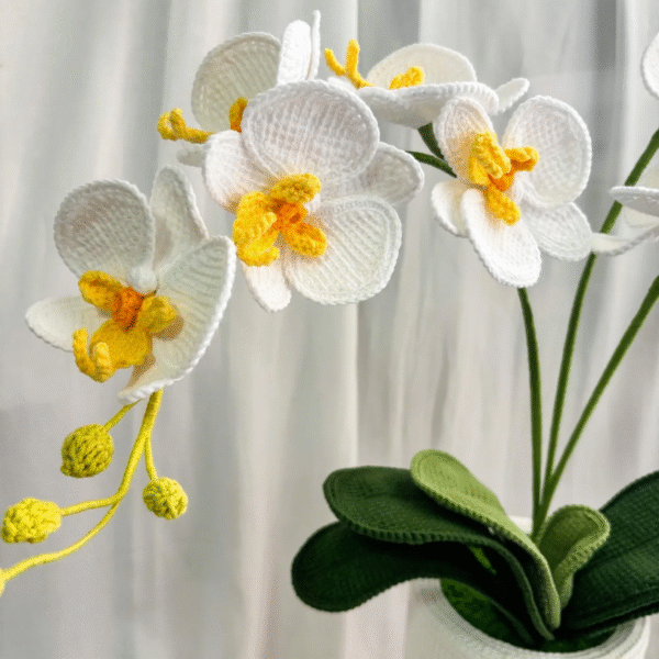 CLarge Crocheted White Phalaenopsis – Amigurumi Crochet Stuffed Animal Milnora - Image 4