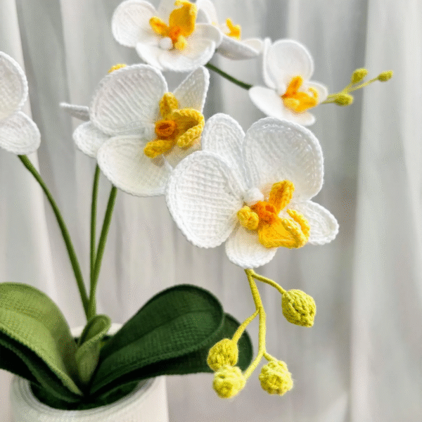CLarge Crocheted White Phalaenopsis – Amigurumi Crochet Stuffed Animal Milnora - Image 3